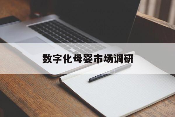 佳木斯市数字化母婴市场调研(数字化母婴市场调研报告)